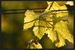 fotografie volné 06.jpg